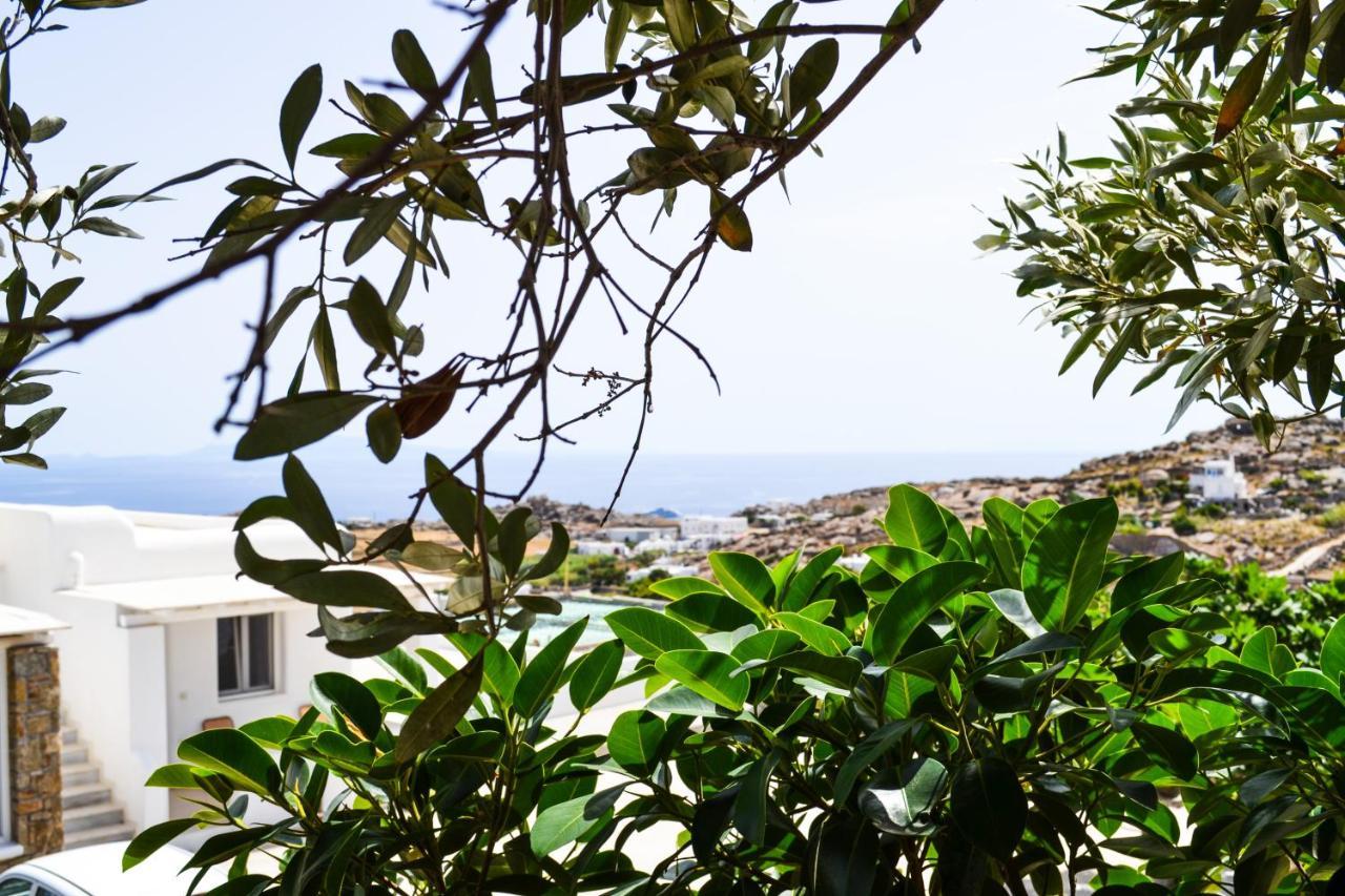 Elma'S Summerhouses Mykonos Town Экстерьер фото